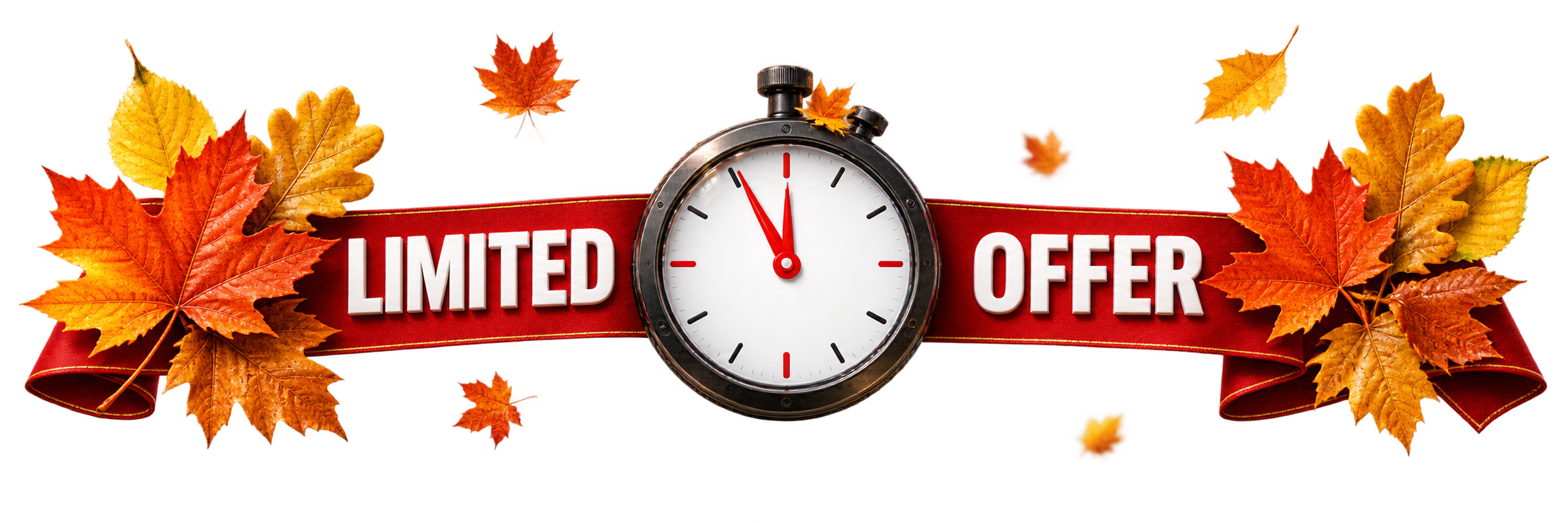 Limited offer on certified health and safety courses Ireland - Ireland Safety Training